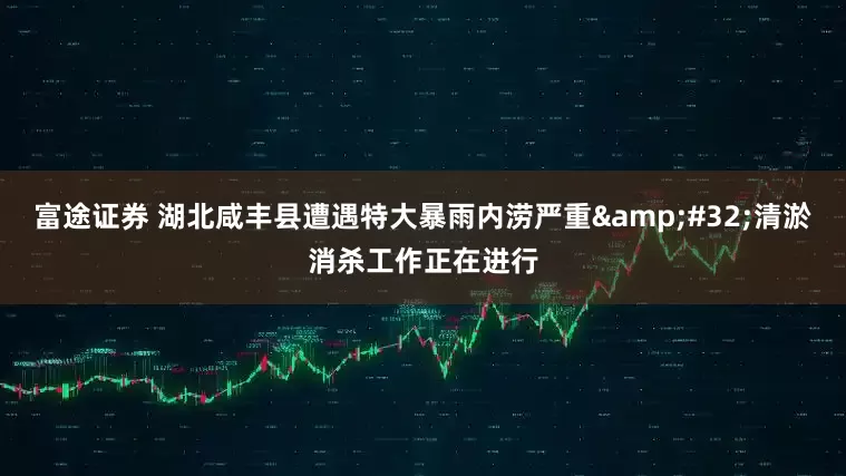富途证券 湖北咸丰县遭遇特大暴雨内涝严重&#32;清淤消杀工作正在进行