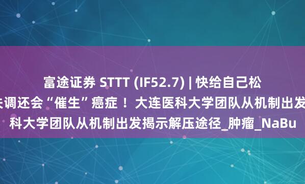 富途证券 STTT (IF52.7) | 快给自己松松压！压力不仅引起肠菌失调还会“催生”癌症 ！大连医科大学团队从机制出发揭示解压途径_肿瘤_NaBu