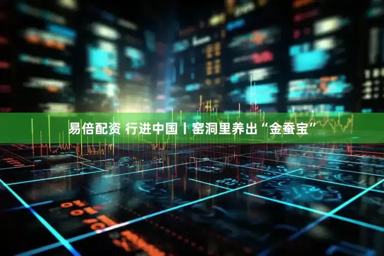 易倍配资 行进中国丨窑洞里养出“金蚕宝”